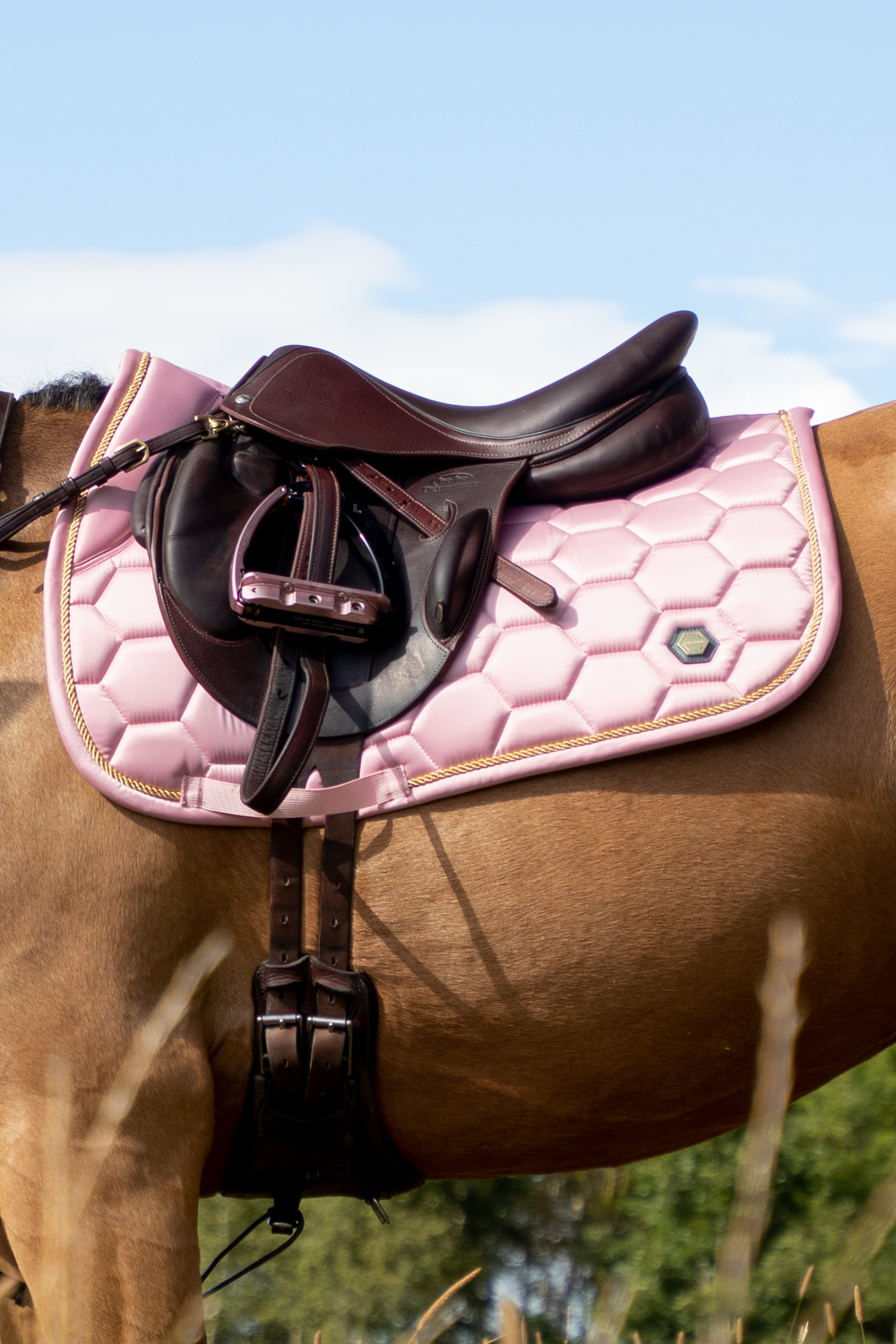 Coldstream Equestrian Saddle Pads