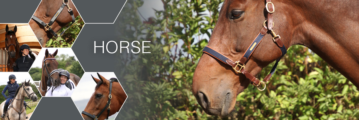 Horse Wear