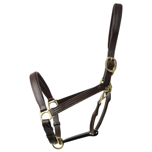 Coldstream Leather Padded Head Collar - Brown - Pony