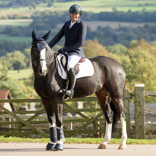 Coldstream Denholme Men's Show Jacket - Navy - 34"