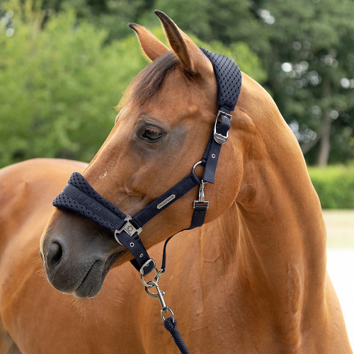 Coldstream Middleton Air Flow Head Collar & Lead Rope - Black - Pon