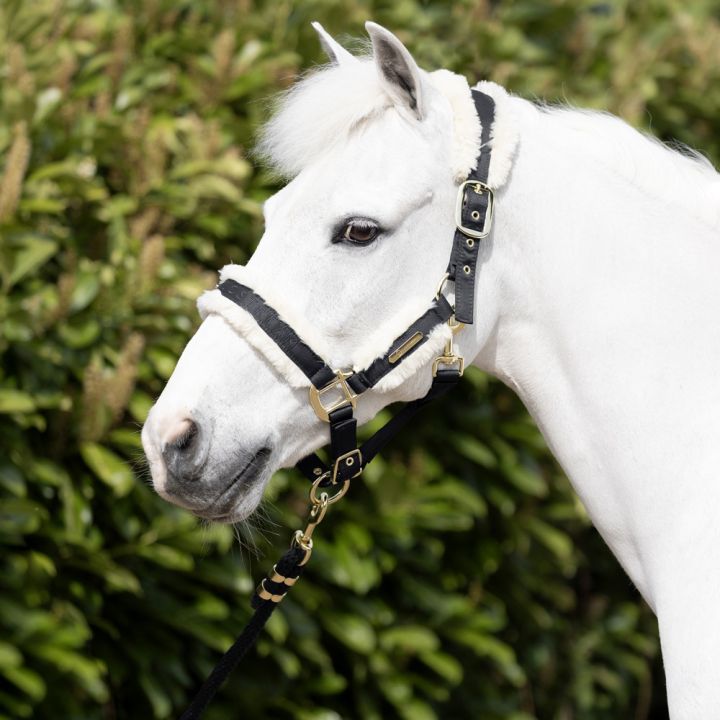 Coldstream Langlee Luxury Head Collar & Lead Rope
